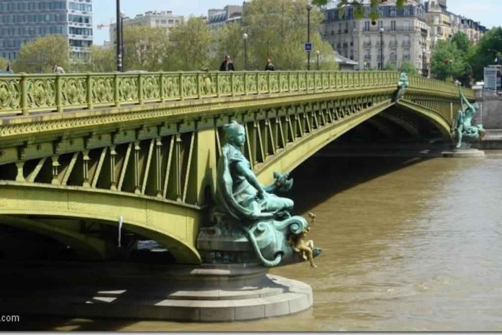 Mirabeau - View Seine & Tour Eiffel Parigi